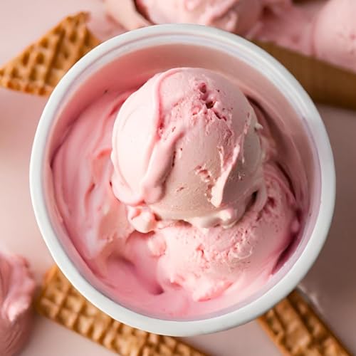 Electric Ice Cream Maker (2 QT / Stainless Aqua)