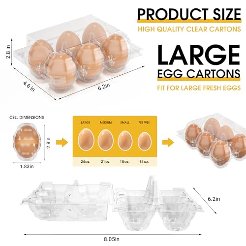 100 Pack Large Egg Cartons Cheap Bulk 6 Count Plastic Egg Containers 2x3 (100Pack-2x3 Large)