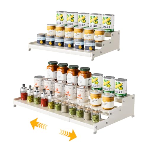 Expandable Carbon Steel Spice Rack Organizer for Pantry