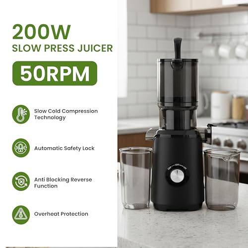 Cold Press Juicer (Black / 200W)
