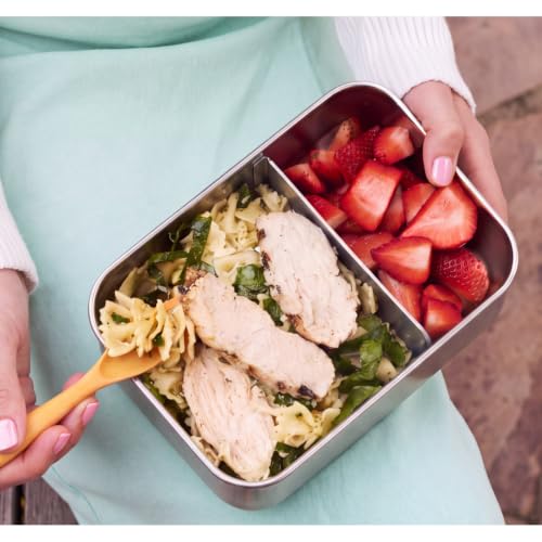 Flexibento Leak proof Stainless Steel Lunch Box Containers with Silicone Lids (ZA-Navy-47OZ-SetOf2)