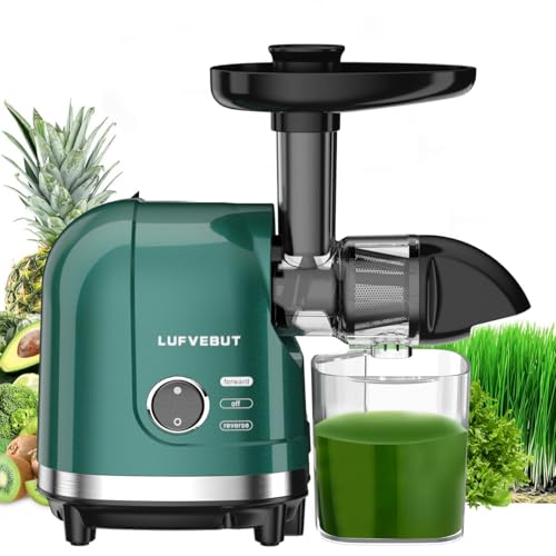 Cold Press Juicer Machine Slow Masticating Extractor for Celery Wheatgrass Spinach Ginger Cucumber Kale (Green)