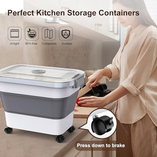 Rice Storage Container (10-30 Lbs)