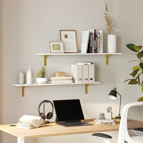 Long Wall Shelves (White and Gold / 31.5 Inch)