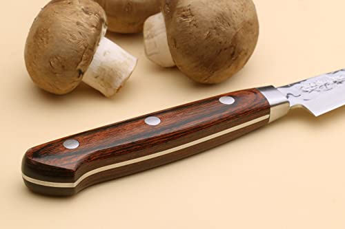 VG10 16 Layer Hammered Damascus Stainless Steel Paring Utility Knife (3.2" / Mahogany Handle)