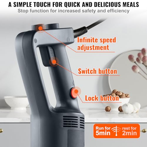Commercial Immersion Blender (750Watt 12inch)