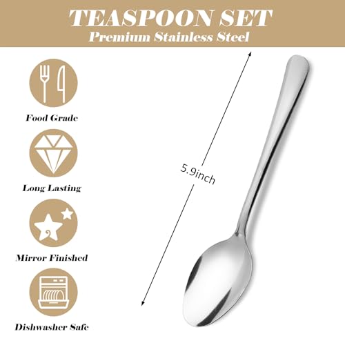 Windsor 120 Piece Set Stainless Steel Teaspoons (120PCS Tea Spoon)