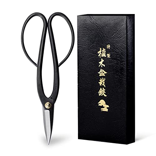 Ashinaga Bonsai Pruning Scissors 8inch (Ashinaga 8")