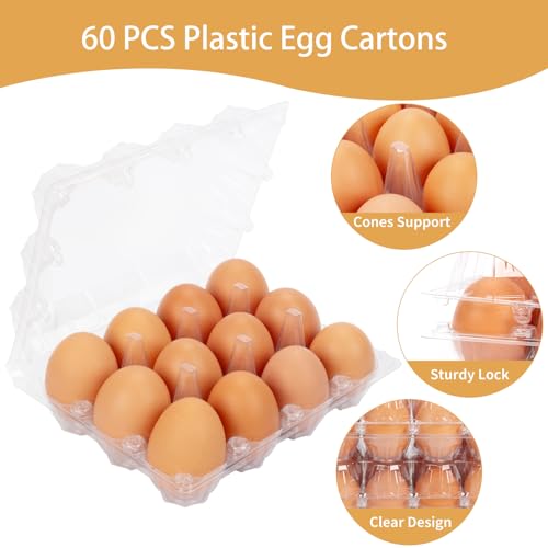 60Pack Duck Egg Cartons Cheap Bulk 1 Dozen Jumbo Egg Cartons (60Pack-3x4Grids)