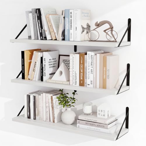 Floating Book Shelves for Wall