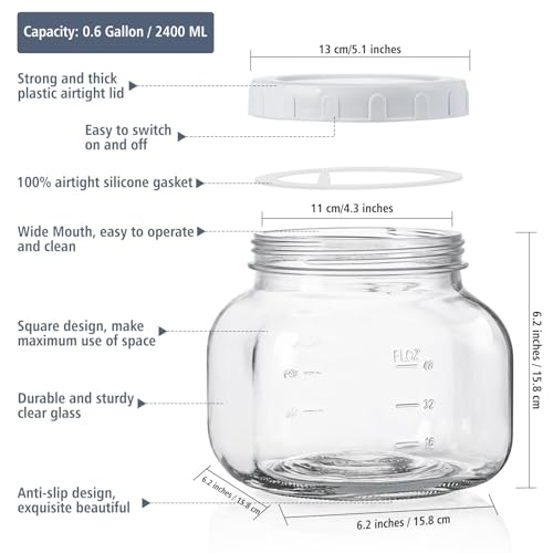 0.6Gal Airtight Glass Jar with Lid (0.6 Gallon)