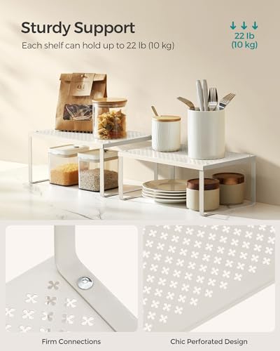 Set of 2 Metal Spice Racks (Oatmeal Beige / 2 Tiers (9"D x 12.6"W))