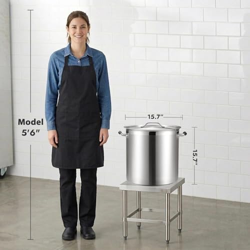 50 Quart Heavy Duty Stock Pot with Lid (50 Quarts)