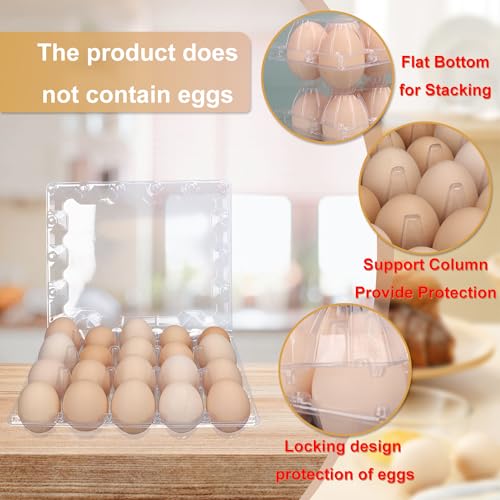 50 Pack Bulk Egg Cartons (20 Grids)