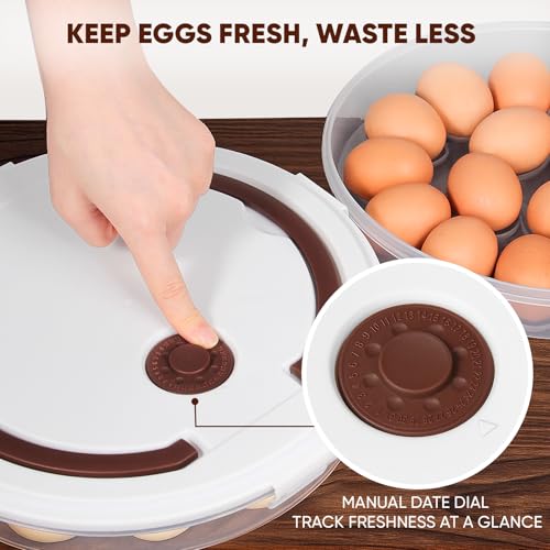 2 Pack Deviled Egg Container with Lid (2 Count)