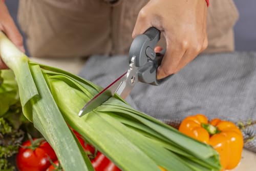 Pro Kitchen Shears Plus (Pro Kitchen Shears Plus)