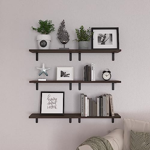 Floating Shelves Set of 6 for Wall Decor & Storage (16.5 Inch / Dark Brown)
