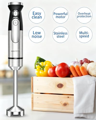 Handblender with Plug (Hand Blender)