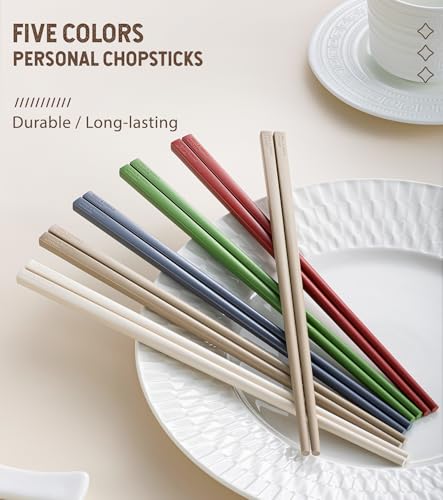 10 Pairs Fiberglass Chopsticks Reusable Set (Style 5 - 10 Pairs - Color Mix)