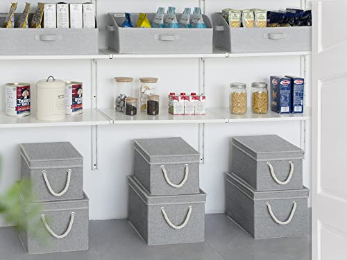 Storage Bins with Lids (Gray / Large)