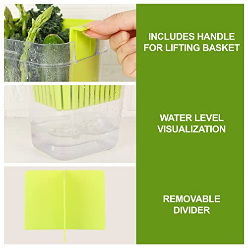 3 Pack Fresh Herb Keeper for Refrigerator (3 Pack)
