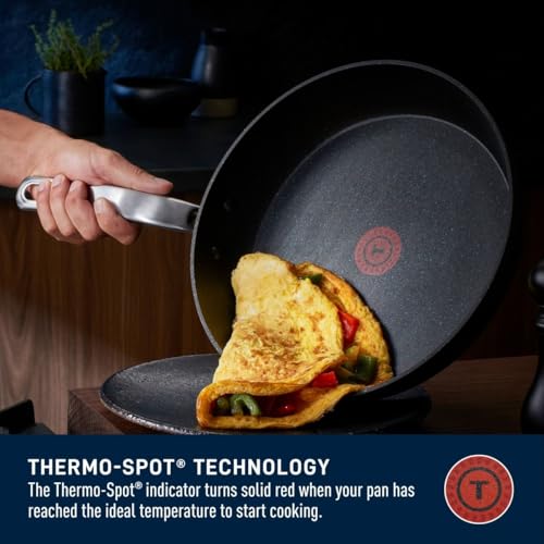 StoneShield 12" (Stone Shield Frypan / 12-Inch)