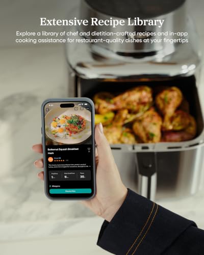 Iconic Stainless Steel Air Fryer (Stainless Steel Air Fryer / Stainless Steel)