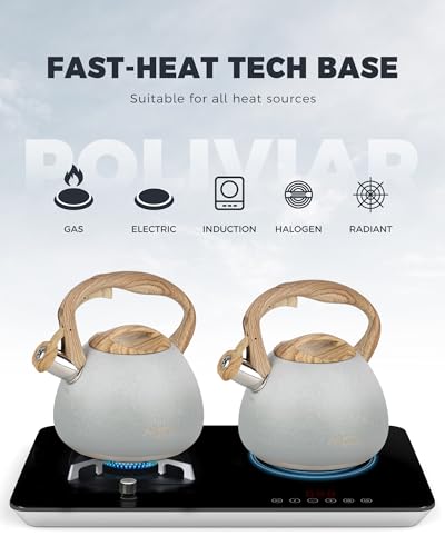 POLIVIAR Tea Kettle (2.7 Quarts / Crackle-Grey)