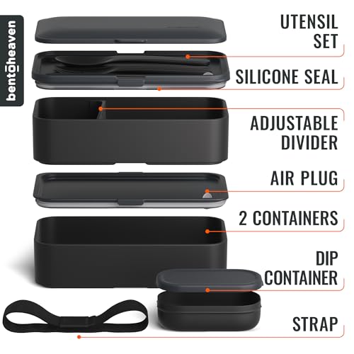 Bento Box Adult