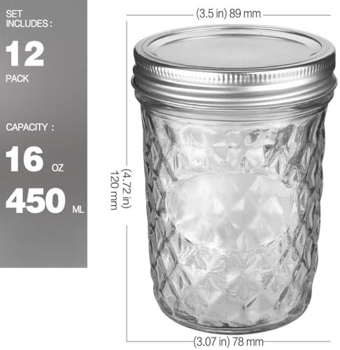 12 Packs 16oz Wide Mouth Mason Jars (12 packs)