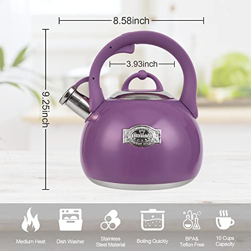 Tea Kettle for Stovetop (Purple)