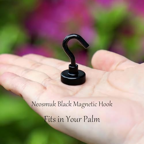 Magnetic Hooks (12 Count)