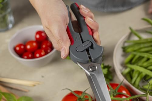 Pro Kitchen Shears (Pro Kitchen Shears)