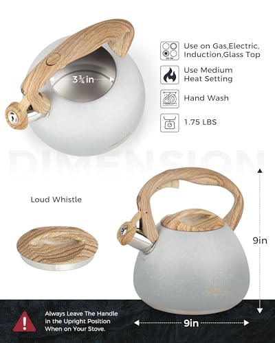 POLIVIAR Tea Kettle (2.7 Quarts / Crackle-Grey)