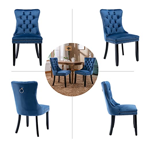 Blue Velvet Dining Chairs Set of 4 (Blue)