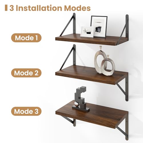 Floating Shelves for Wall Set of 3