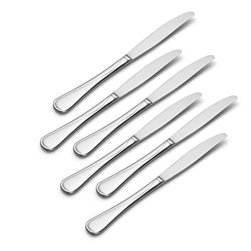 Flight Dinner Knives Silverware Set for 6 (Dinner Knives, Set of 6)