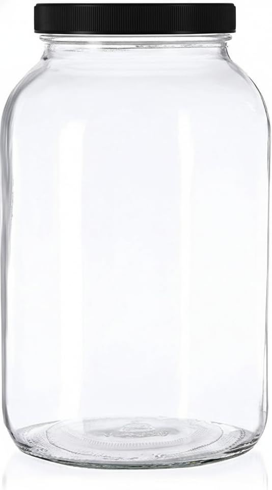 1 Gallon Glass Jar with Lid (Black / Pack of 1)