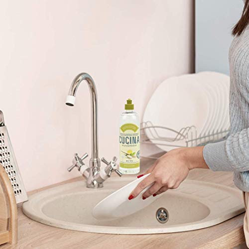 Fruits & Passion Cucina Dish Soap Detergent Refill Sea Salt and Amalfi Lemon (16.9 Fl Oz)