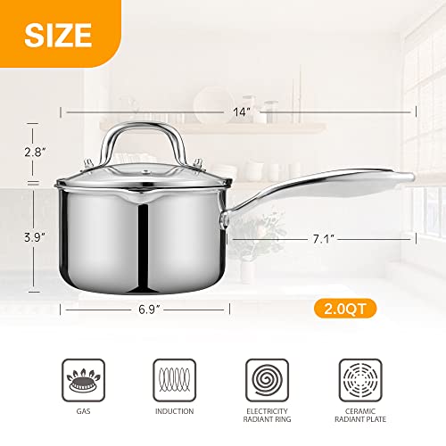 Stainless Steel Saucepan with Glass Lid (1.5 Quarts)