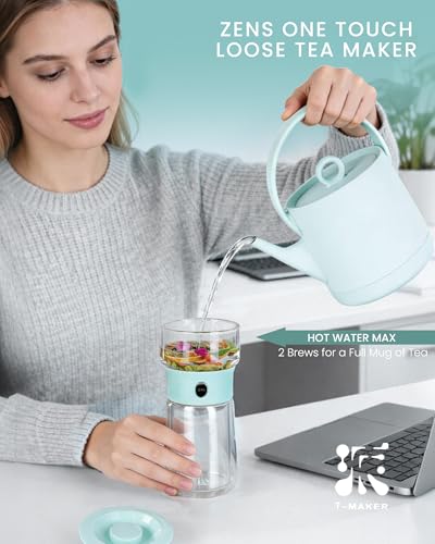 Modern Glass Infuser Teapot (06-Blue / 9oz)