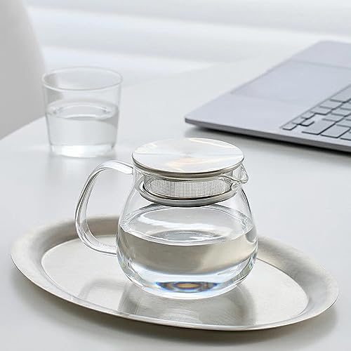 Glass Teapot with Removable Stainless Steel Filter Lid Stovetop & Microwave Safe Borosilicate Glass Kettle for Loose Leaf (15OZ)