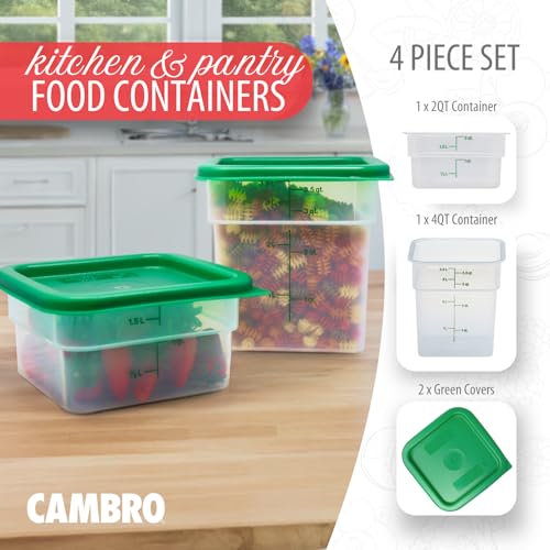 Food Storage Container with Lid (2 and 4 QT + Lid)