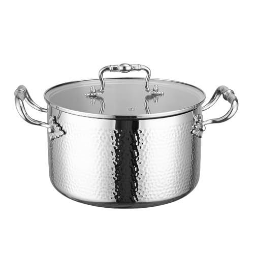 Stainless Steel Stock Pot with Visible Lid for Pasta (7 Quarts)
