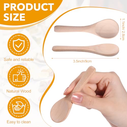 100 Pcs Small Wooden Spoons (100 Count)