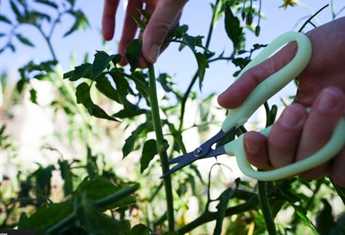 Obsidian Drake Pro Hort Trimming Scissors