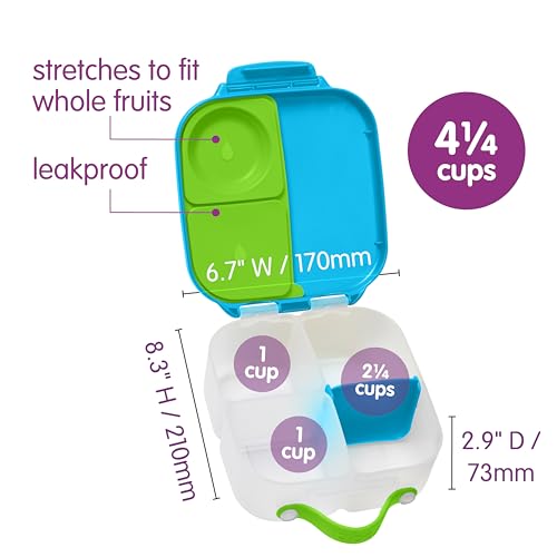 Mini Lunch Box 2