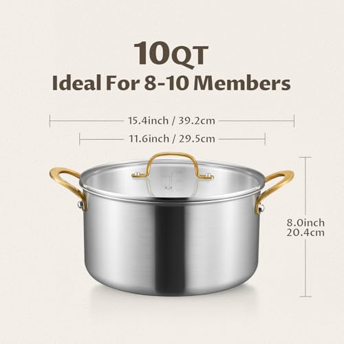 10 QT Stock Pot with Lid