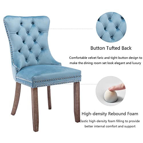 Light Blue Velvet Dining Chairs Set of 6 (Light Blue)