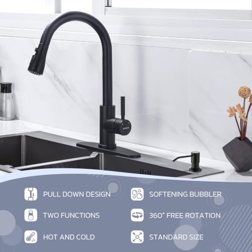 Kitchen Faucet with Soap Dispenser (Matte Black Finish)